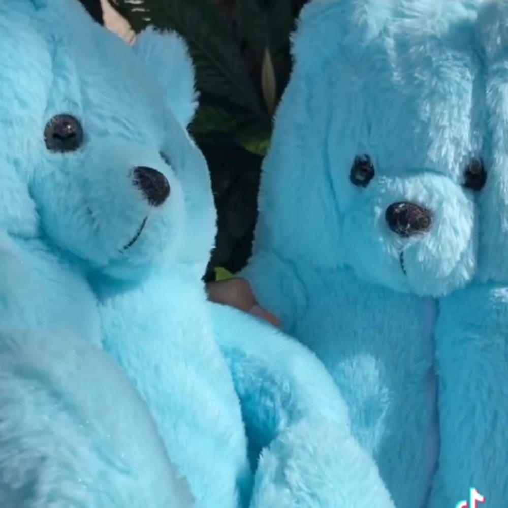 Light Blue Teddy Bear Slippers